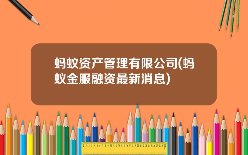 蚂蚁资产管理有限公司(蚂蚁金服融资最新消息)