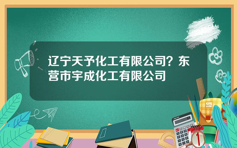 辽宁天予化工有限公司？东营市宇成化工有限公司