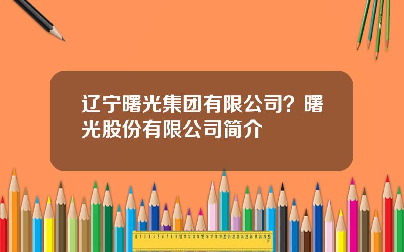 辽宁曙光集团有限公司？曙光股份有限公司简介