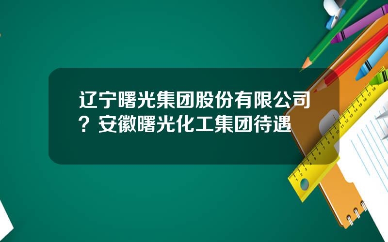 辽宁曙光集团股份有限公司？安徽曙光化工集团待遇