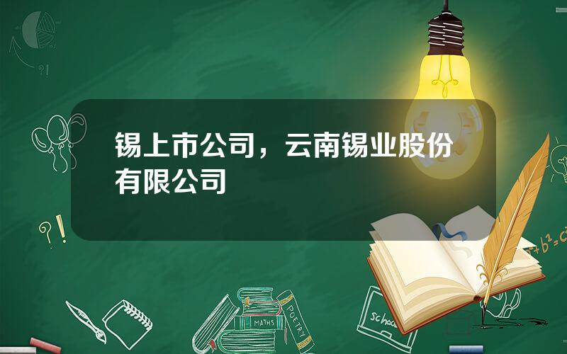 锡上市公司，云南锡业股份有限公司