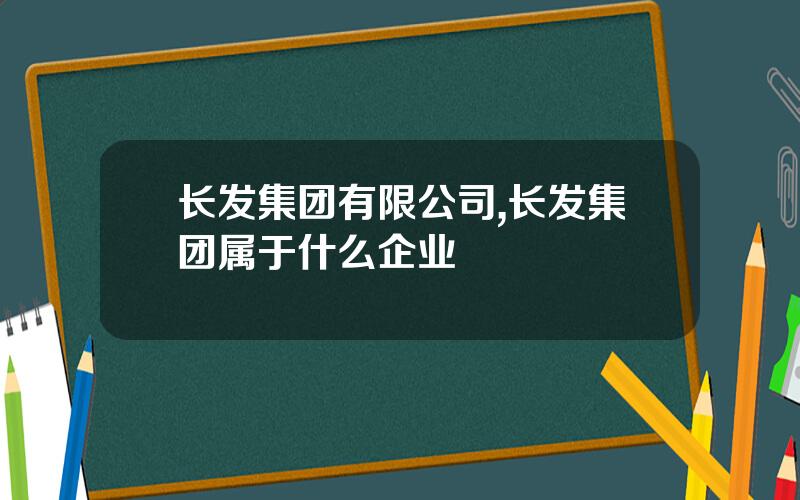 长发集团有限公司,长发集团属于什么企业