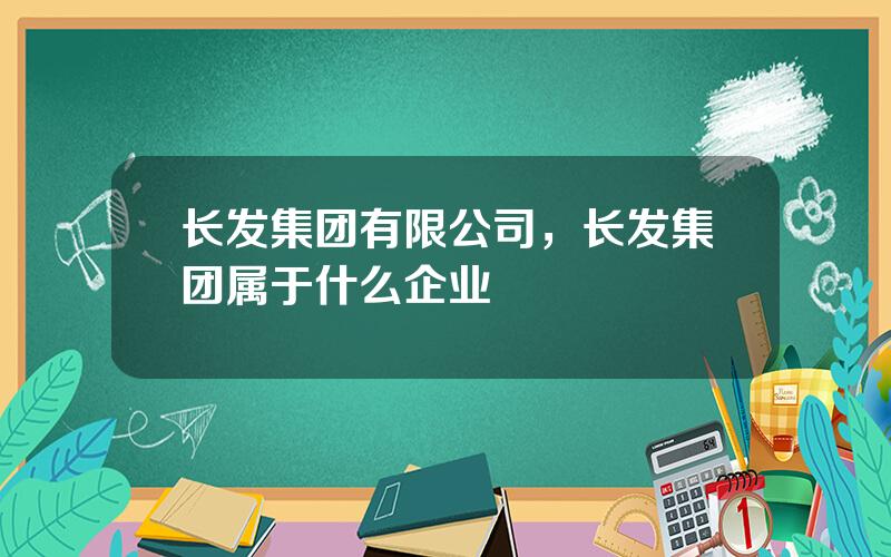 长发集团有限公司，长发集团属于什么企业