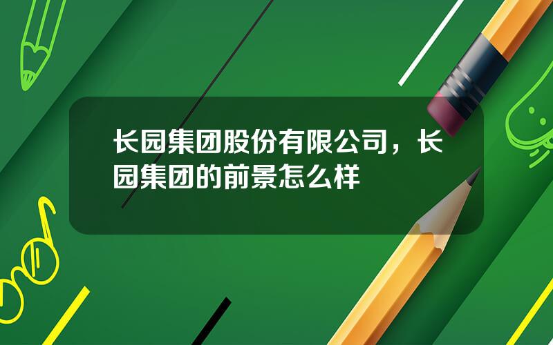 长园集团股份有限公司，长园集团的前景怎么样